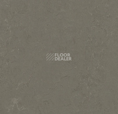 Линолеум Forbo Marmoleum Decibel 372335 nebula фото 1 | FLOORDEALER
