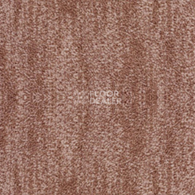 Ковролин Sintelon Port 11344 фото 1 | FLOORDEALER