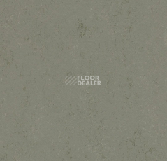 Линолеум Forbo Marmoleum Decibel on Order 375535 glacier фото 1 | FLOORDEALER