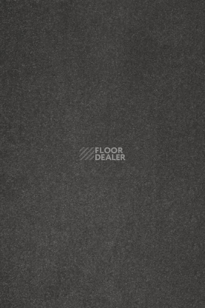 Ковролин AW Masquerade Varuna 97 фото 1 | FLOORDEALER