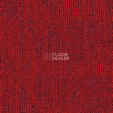 Ковролин Balsan Alize 570 фото 1 | FLOORDEALER