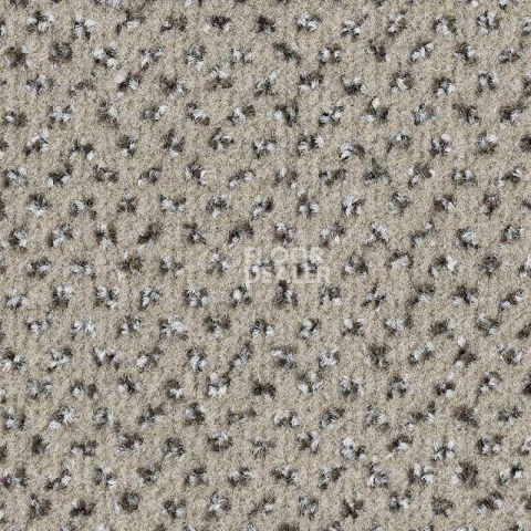 Ковролин Balsan Signature 905 фото 1 | FLOORDEALER