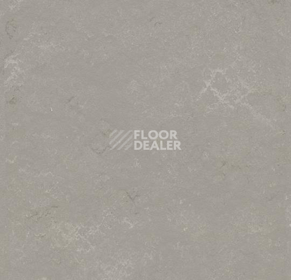 Кварцвиниловые полы Forbo Marmoleum Modular Shade 3718 фото 1 | FLOORDEALER