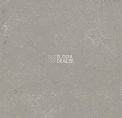 Кварцвиниловые полы Forbo Marmoleum Modular Shade 3718 фото 1 | FLOORDEALER