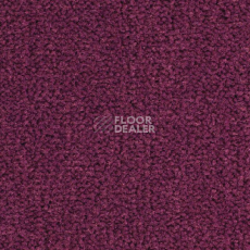 Ковролин Balsan Les Best S 599 фото 1 | FLOORDEALER