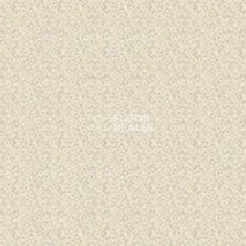 Линолеум Tarkett Status TEPPER2 фото 1 | FLOORDEALER