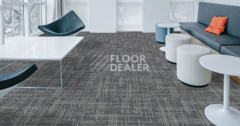 Standard Carpets Casini Casini 577 фото 2 | FLOORDEALER
