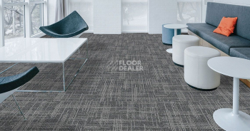 Standard Carpets Casini Casini 577 фото 2 | FLOORDEALER