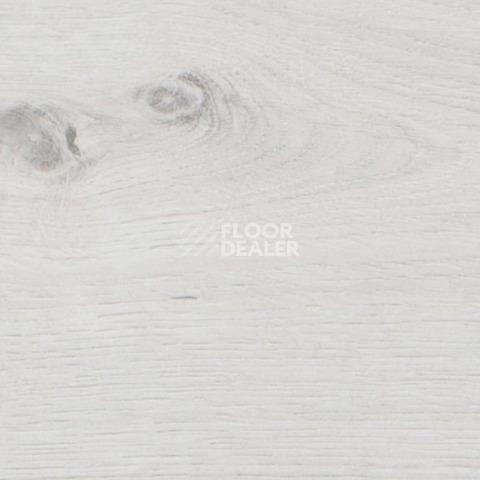 My Step Terra Aqua Block MS198AB Дуб Латина фото 3 | FLOORDEALER