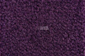 Balsan Les Best 899 фото 2 | FLOORDEALER