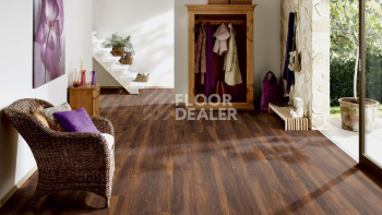 Terhurne Grand Line 1869  Каштан Бархатно - Коричневый  1101020839 фото 4 | FLOORDEALER