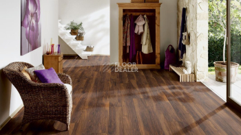 Terhurne Grand Line 1869  Каштан Бархатно - Коричневый  1101020839 фото 4 | FLOORDEALER