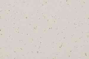 Линолеум Gerflor Mipolam BioControl Clean 5412 Moon Stone фото  | FLOORDEALER
