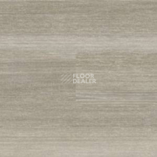 Линолеум Polyflor Expona Wood 6164 фото 1 | FLOORDEALER