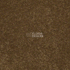 Ковролин Shaw Design Texture Platinum 773 фото 1 | FLOORDEALER