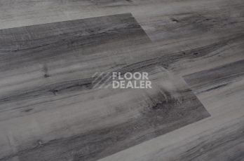 Кварцвиниловые полы Evofloor Optima Click 4.2мм Дуб Индиго фото 1 | FLOORDEALER