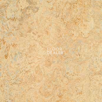 Линолеум Forbo Marmoleum Acoustic 33038 Carribean фото 1 | FLOORDEALER