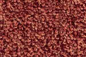 Ковролин Balsan Centaure Deco 578 фото  | FLOORDEALER