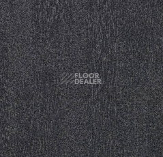 Ковровая плитка Forbo Flotex Colour Penang 50*50 t  382031 Penang Ash фото 1 | FLOORDEALER