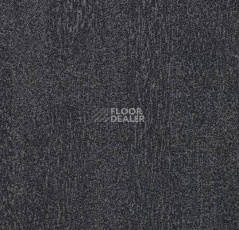 Ковровая плитка Forbo Flotex Colour Penang 50*50 t  382031 Penang Ash фото 1 | FLOORDEALER