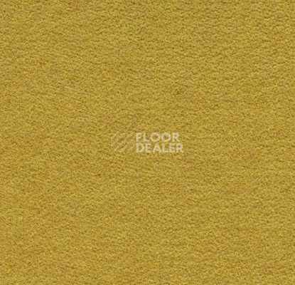 Ковролин Forbo Flotex wonderlab 07 900265 Sunshine фото 1 | FLOORDEALER