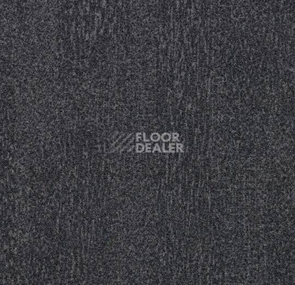 Ковровая плитка Forbo Flotex Colour Penang 50*50 t  382031 Penang Ash фото 1 | FLOORDEALER