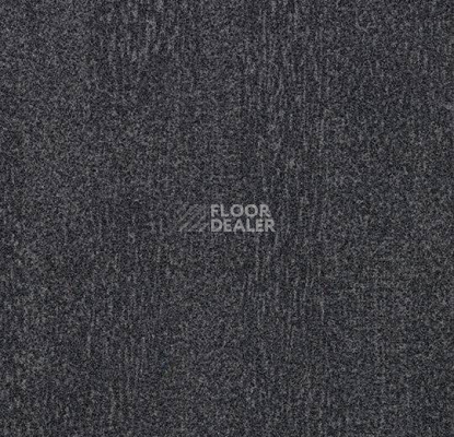 Ковровая плитка Forbo Flotex Colour Penang 50*50 t  382031 Penang Ash фото 1 | FLOORDEALER