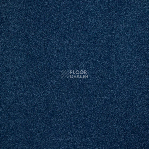 Haima Noble 58 фото 3 | FLOORDEALER