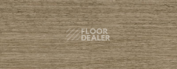 Плинтус Dollken EP 60/13 2563 фото 2 | FLOORDEALER