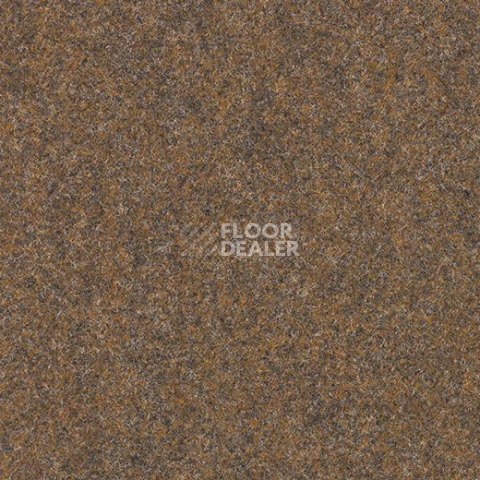 Ковролин Forbo Forte 96005 Desert фото 1 | FLOORDEALER