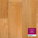 Линолеум Tarkett Prisma CARSTON 1  | FLOORDEALER