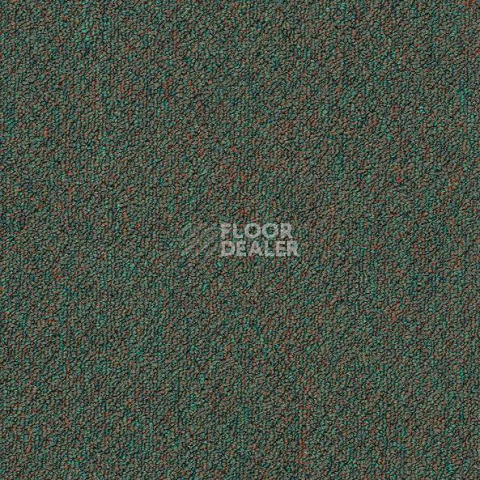 Ковровая плитка Shaw Momentum 02323 фото 1 | FLOORDEALER