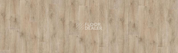 Линолеум Tarkett Kvazar ALMATY1 фото 1 | FLOORDEALER