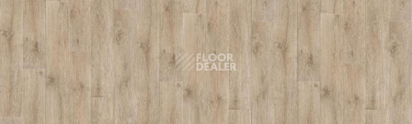 Линолеум Tarkett Kvazar ALMATY1 фото 1 | FLOORDEALER