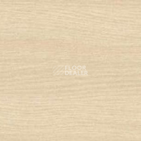 Плинтус Dollken EP 60/13 3484 фото 2 | FLOORDEALER