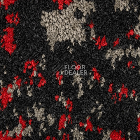 Innova Мираж q 492 05 фото 3 | FLOORDEALER