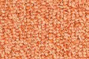 Ковролин Balsan Centaure Deco 448 фото  | FLOORDEALER