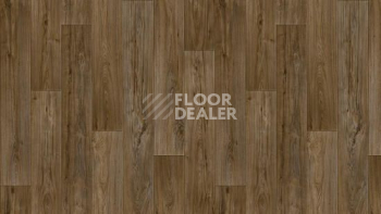 Линолеум Tarkett Комфорт KADET 4 фото 1 | FLOORDEALER