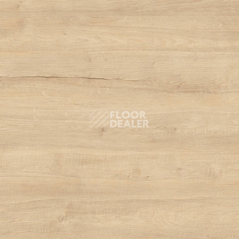 Ламинат Kronotex Exquisit Plus d40402 Дуб Бодега Бежевый фото 1 | FLOORDEALER