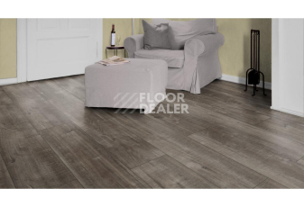Kronotex Exquisit Plus d4785 Дуб Гала Титан фото 5 | FLOORDEALER