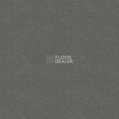 Ковровая плитка Forbo Tessera basis pro 4372 Seal фото 1 | FLOORDEALER