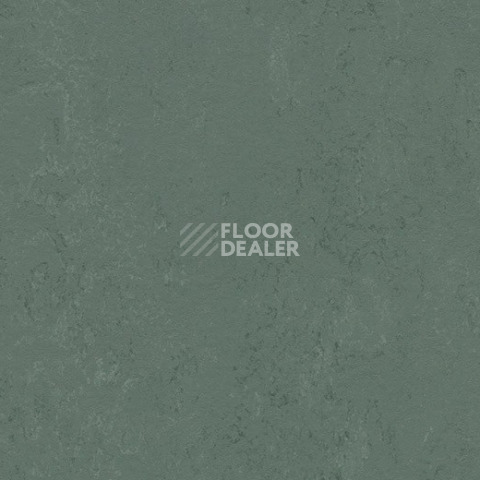 Линолеум Forbo Marmoleum Solid Concrete 3752 taiga фото 1 | FLOORDEALER