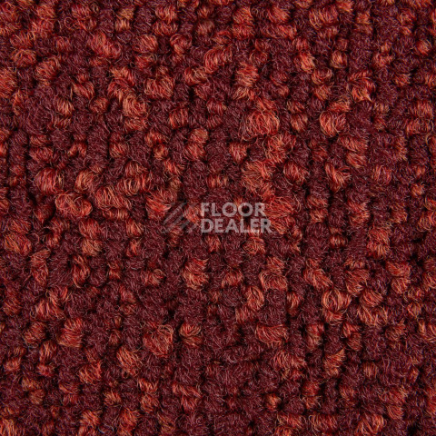 Haima Coral 36 фото 3 | FLOORDEALER