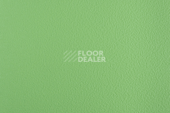 Линолеум Forbo SportLine Standart Fr 3040 фото 1 | FLOORDEALER