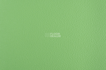 Forbo SportLine Standart Fr 3040 фото 1 | FLOORDEALER