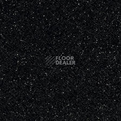 Линолеум Gerflor Tarasafe Standard 7801_Noir фото 1 | FLOORDEALER