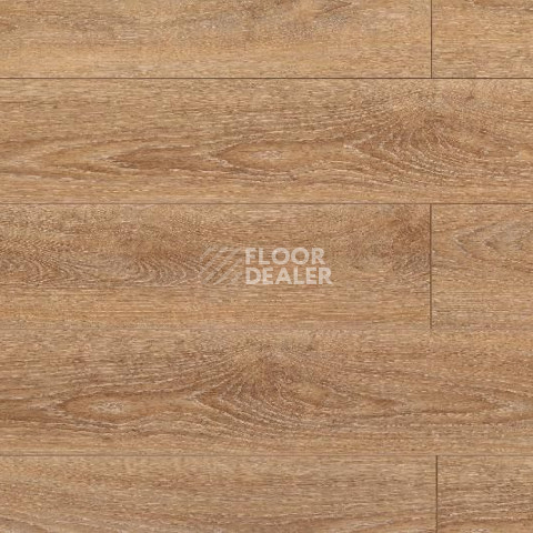 Кварцвиниловые полы Aquafloor Space AF4055SPC фото 1 | FLOORDEALER
