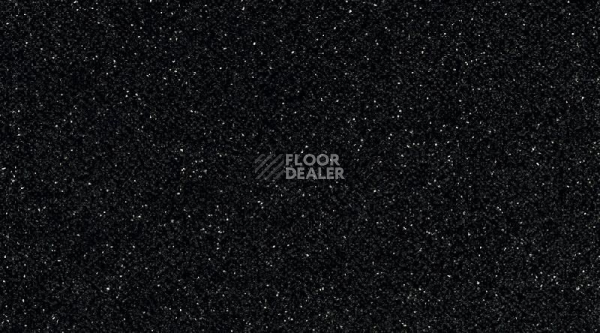 Линолеум Gerflor Tarasafe Standard 7801_Noir фото 1 | FLOORDEALER