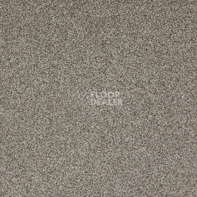 Ковролин Betap Transmit 70 фото 1 | FLOORDEALER