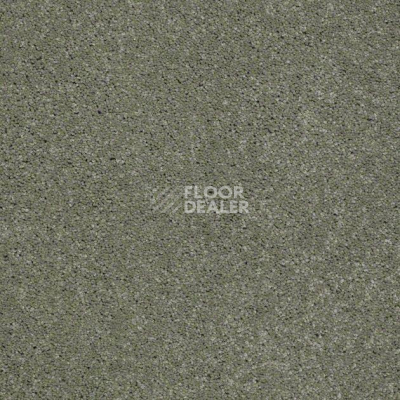 Ковролин Shaw Design Texture Platinum 344 фото 1 | FLOORDEALER